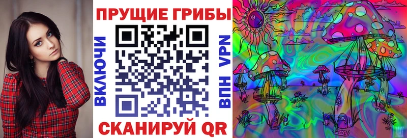 KRAKEN ТОР  Удомля  Галлюциногенные грибы Magic Shrooms 