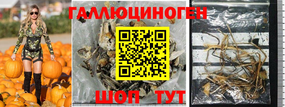 Каннабис Удомля