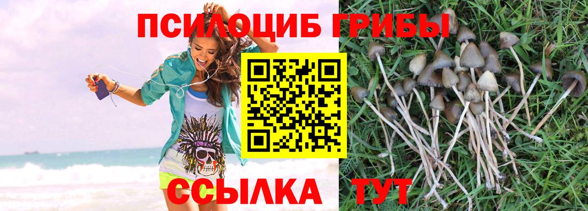Галлюциногенные грибы Magic Shrooms  купить закладку  Удомля  Вход с VPN 